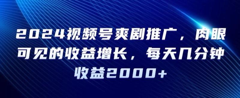 2024视频号爽剧推广-肉眼可见的收益增长-每天几分钟收益2000+【揭秘】-第2资源网