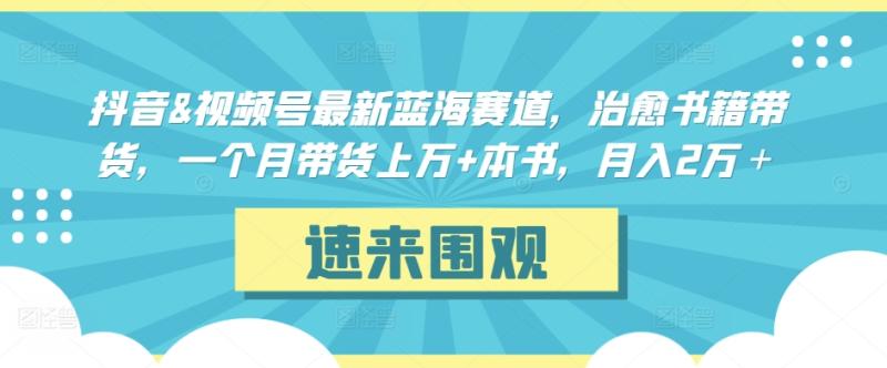 抖音视频号最新蓝海赛道-治愈书籍带货-一个月带货上万+本书-月入2万＋【揭秘】-第2资源网