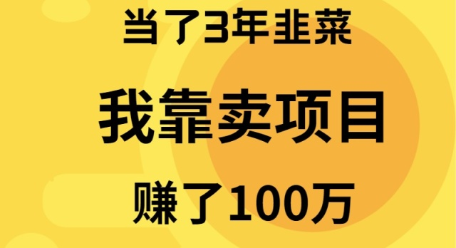 我当了3年韭菜-但是靠卖项目赚了100万-第2资源网