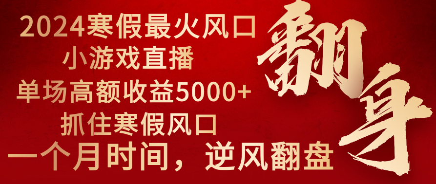 2024年最火寒假风口项目 小游戏直播 单场收益5000+抓住风口 一个月直接提车-第2资源网