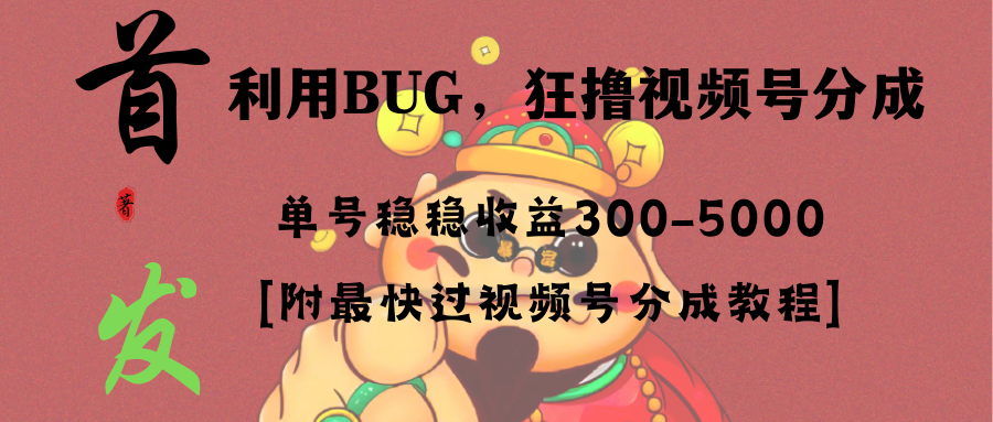 全网独家首发-视频号BUG-超短期项目-单号每日净收益300-5000！-第2资源网