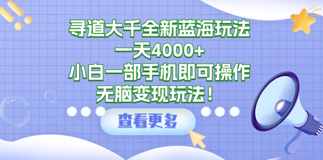 寻道大千全新蓝海玩法-一天4000+-小白一部手机即可操作-无脑变现玩法！-第2资源网