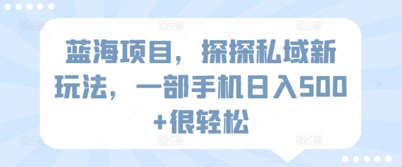 蓝海项目-探探私域新玩法-一部手机日入500+很轻松【揭秘】-第2资源网