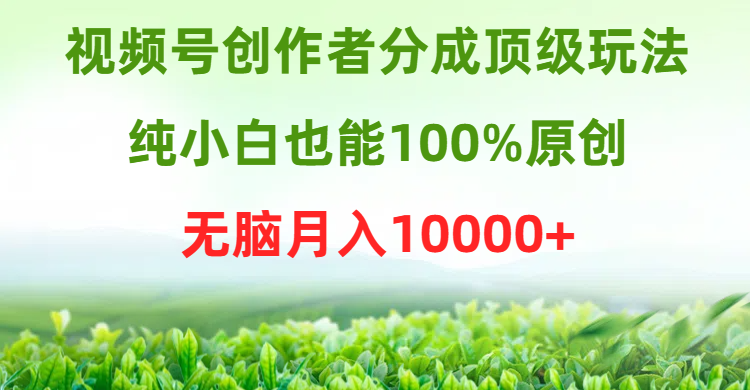 视频号创作者分成顶级玩法-纯小白也能100%原创-无脑月入10000+-第2资源网