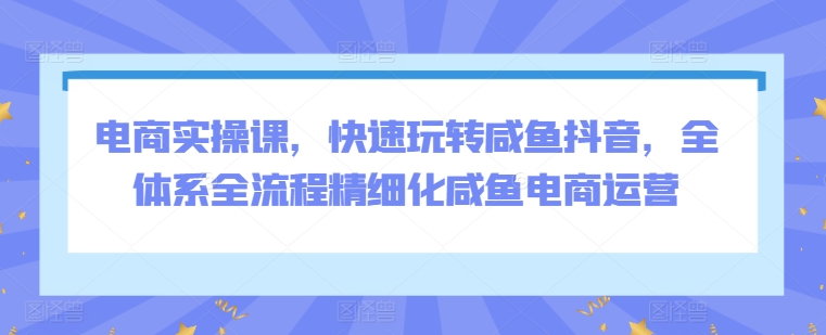 电商实操课-快速玩转咸鱼抖音-全体系全流程精细化咸鱼电商运营-第2资源网