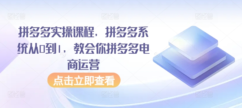 拼多多实操课程-拼多多系统从0到1-教会你拼多多电商运营-第2资源网