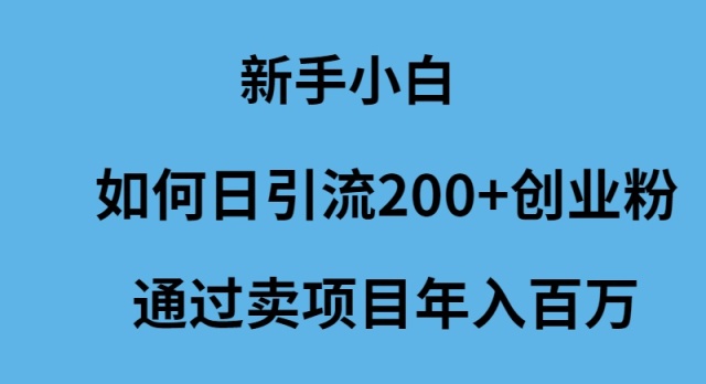 新手小白怎么样日引流200+创业粉通过卖项目年入百万-第2资源网