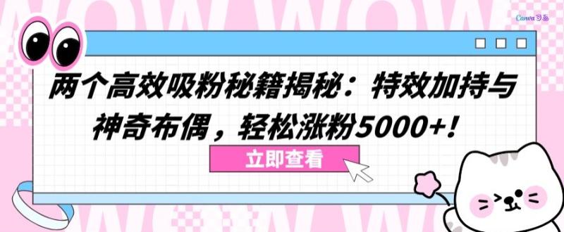 教你两个高效吸粉秘籍：特效加持与神奇布偶-轻松涨粉5000+【揭秘】-第2资源网