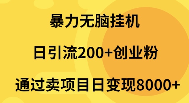 暴力无脑挂机日引流200+创业粉通过卖项目日变现2000+-第2资源网