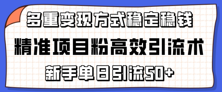 精准项目粉高效引流术-新手单日引流50+-多重变现方式稳定赚钱【揭秘】-第2资源网