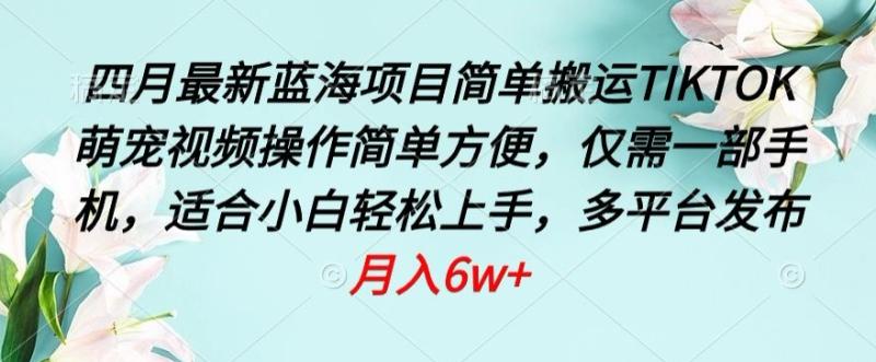 2024蓝海项目-简单搬运TIKTOK萌宠视频-操作简单方便-仅需一部手机【揭秘】-第2资源网