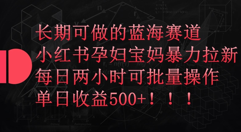 长期可做的蓝海赛道-小红书孕妇宝妈暴力拉新玩法-每日两小时可批量操作-单日收益500+【揭秘】-第2资源网