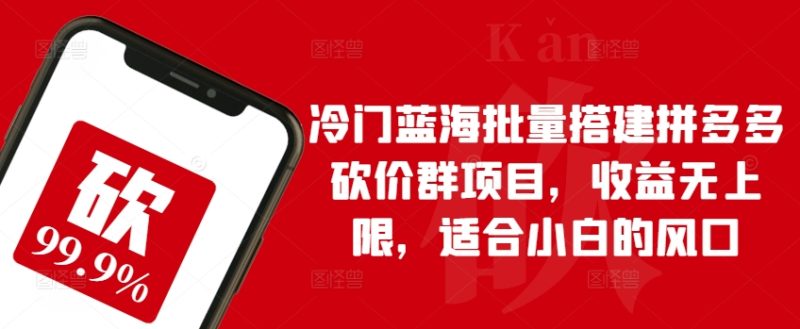 冷门蓝海批量搭建拼多多砍价群项目-收益无上限-适合小白的风口【揭秘】-第2资源网