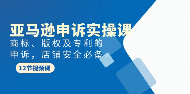 亚马逊-申诉实战课-商标、版权及专利的申诉-店铺安全必备-第2资源网