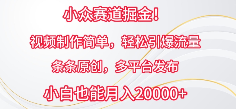 小众赛道掘金-原创视频制作简单-条条轻松引爆流量-多平台发布【揭秘】-第2资源网