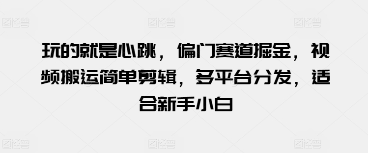 玩的就是心跳-偏门赛道掘金-视频搬运简单剪辑-多平台分发-适合新手小白【揭秘】-第2资源网