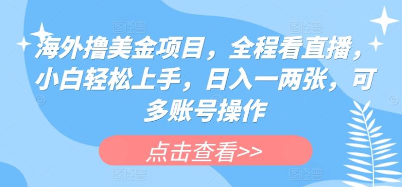 海外撸美金项目-全程看直播-小白轻松上手-日入一两张-可多账号操作【揭秘】-第2资源网