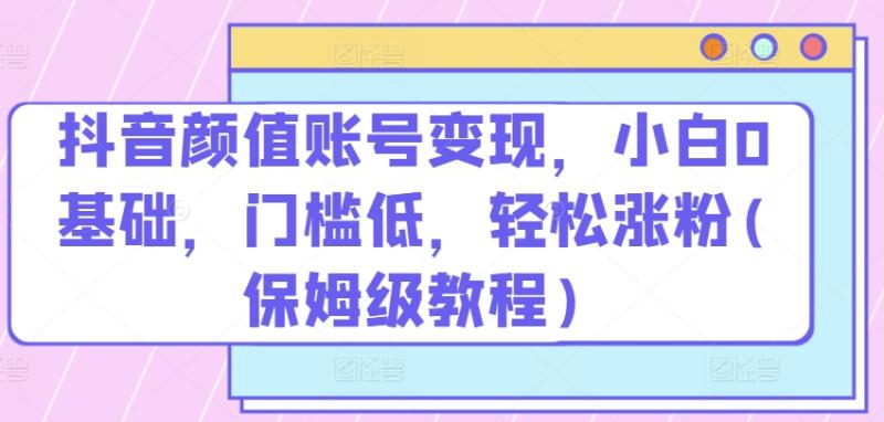 抖音颜值账号变现-小白0基础-门槛低-​轻松涨粉(保姆级教程)【揭秘】-第2资源网