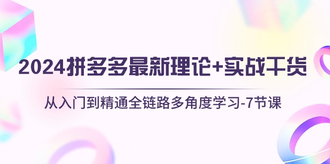 2024拼多多 最新理论+实战干货-从入门到精通全链路多角度学习-7节课-第2资源网