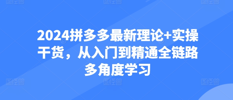 2024拼多多进阶宝典：从防比价到自然流-全攻略实操教学-第2资源网