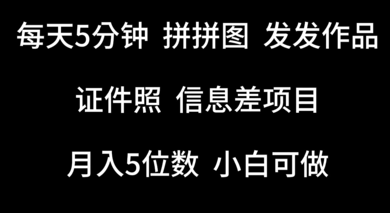 每天5分钟-拼拼图发发作品-证件照信息差项目-小白可做【揭秘】-第2资源网