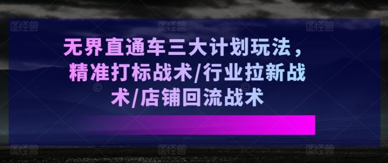 无界直通车三大计划玩法-精准打标战术-行业拉新战术-店铺回流战术-第2资源网