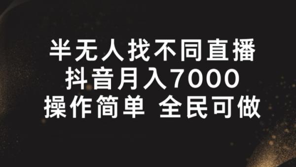 半无人找不同直播-月入7000+-操作简单 全民可做【揭秘】-第2资源网