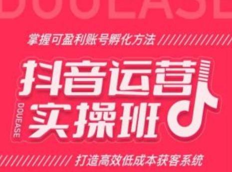 抖音运营实操班-掌握可盈利账号孵化方法-打造高效低成本获客系统-第2资源网