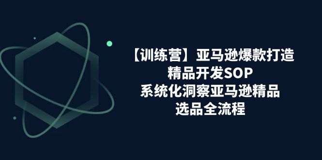 【训练营】亚马逊爆款打造之精品开发SOP-系统化洞察亚马逊精品选品全流程-第2资源网