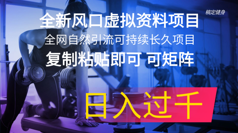 全新风口虚拟资料项目 全网自然引流可持续长久项目 复制粘贴即可可矩阵-第2资源网