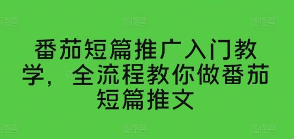 番茄短篇推广入门教学-全流程教你做番茄短篇推文-第2资源网