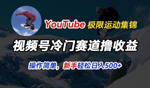 视频号冷门赛道撸收益-YouTube搬运极限运动集锦-暴力起号-操作简单流量高-轻松日入5张【揭秘】-第2资源网