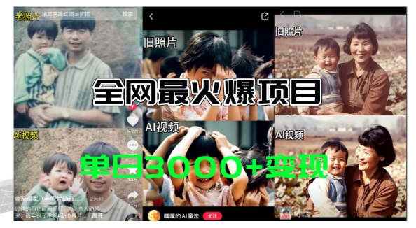 全网爆火的AI让老照片动起来教程-蹭热点日赚3k+-内含免费工具一键可生成【揭秘】-第2资源网