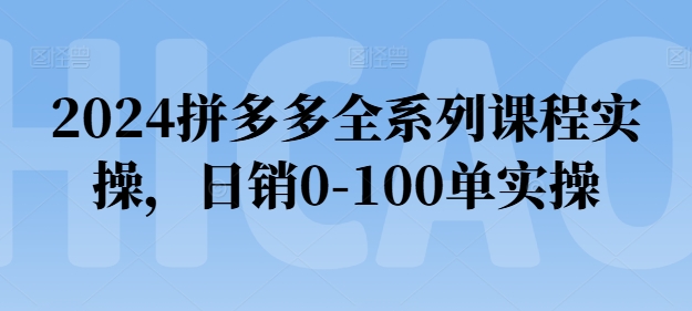 2024拼多多全系列课程实操-日销0-100单实操【必看】-第2资源网