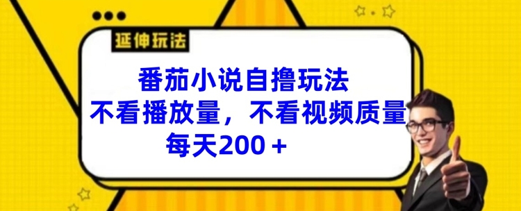 番茄小说自撸玩法-不看播放量-不看视频质量-每天200+【揭秘】-第2资源网