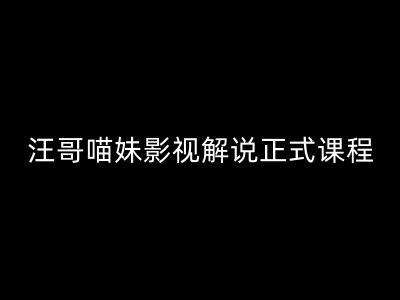 汪哥影视解说正式课程：剪映-PR教学-视解说剪辑5大黄金法则-全流程剪辑7把利器等等-第2资源网