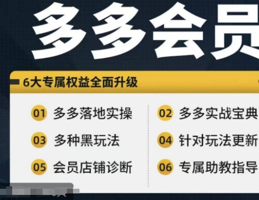 拼多多会员-拼多多实战宝典+实战落地实操-从新手到高阶内容全面覆盖-第2资源网