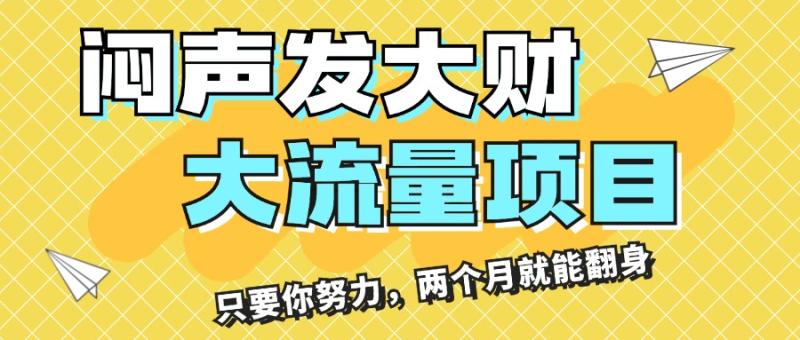 闷声发大财-大流量项目-月收益过3万-只要你努力-两个月就能翻身-第2资源网