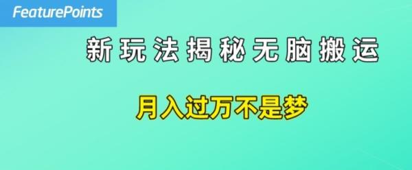 简单操作-每天50美元收入-搬运就是赚钱的秘诀【揭秘】-第2资源网