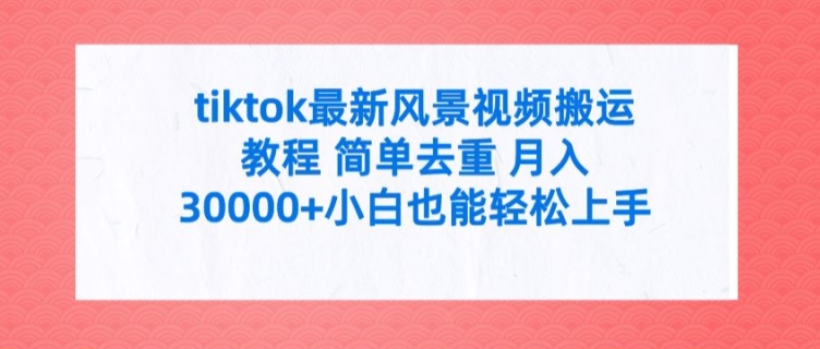 TIKTOK最新风景视频搬运教程 简单去重 月入3W+小白也能轻松上手【揭秘】-第2资源网