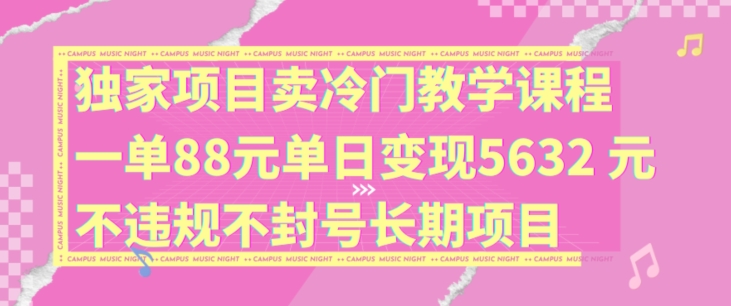 独家项目卖冷门教学课程一单88元单日变现5632元违规不封号长期项目【揭秘】-第2资源网