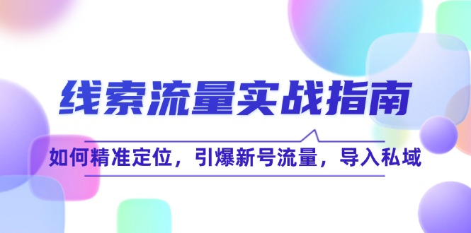 线 索 流 量-实战指南：如何精准定位-引爆新号流量-导入私域-第2资源网