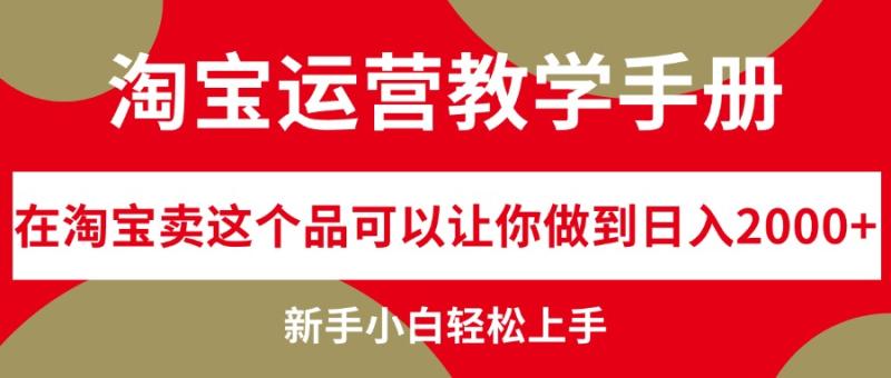 淘宝运营教学手册-在淘宝卖这个品可以让你做到日入2000+-第2资源网