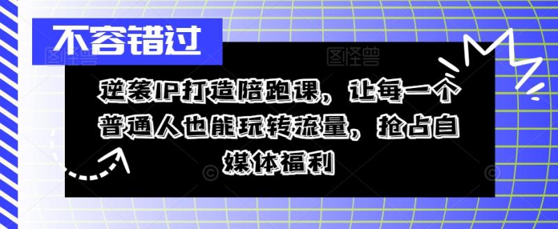 逆袭IP打造陪跑课-让每一个普通人也能玩转流量-抢占自媒体福利-第2资源网