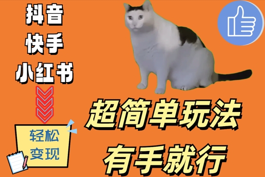 超简单玩法-有手就行-靠猫咪视频日入500+【揭秘】-第2资源网