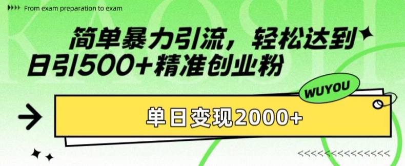 简单暴力引流-轻松达到日引500+精准创业粉-单日变现2k-第2资源网