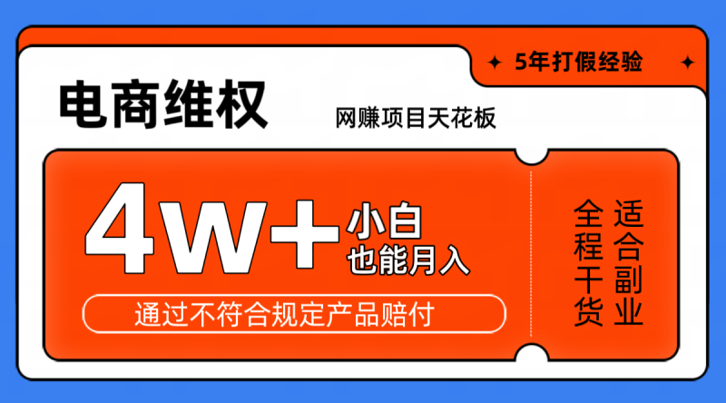 网赚项目天花板电商购物维权月收入稳定4w+独家玩法小白也能上手-第2资源网