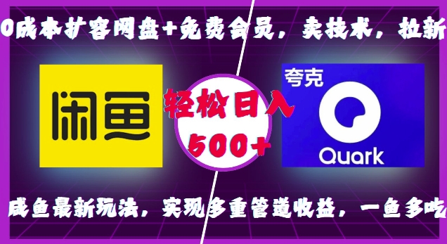 0成本扩容网盘+免费会员-卖技术-拉新-咸鱼最新玩法-实现多重管道收益-一鱼多吃-轻松日入500+-第2资源网