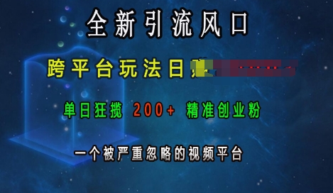 全新引流风口-跨平台玩法日入上k-单日狂揽200+精准创业粉-一个被严重忽略的视频平台-第2资源网