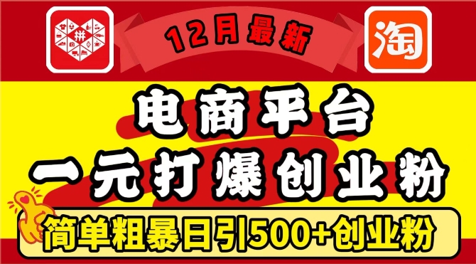 12月最新：电商平台1元打爆创业粉-简单粗暴日引500+精准创业粉-轻松月入过W【揭秘】-第2资源网